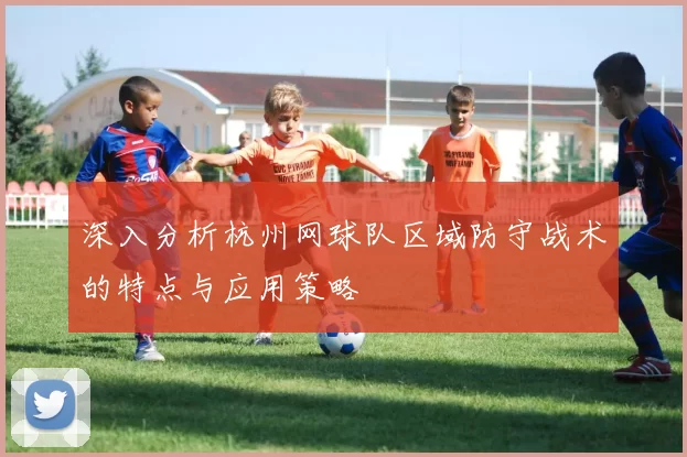 深入分析杭州网球队区域防守战术的特点与应用策略